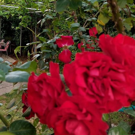 Apartments F Подгориця Екстер'єр фото