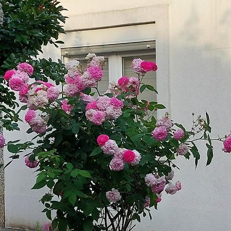 Apartments F Подгориця Екстер'єр фото