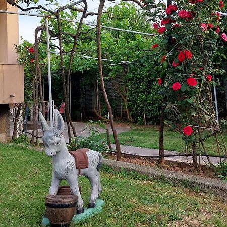 Apartments F Подгориця Екстер'єр фото