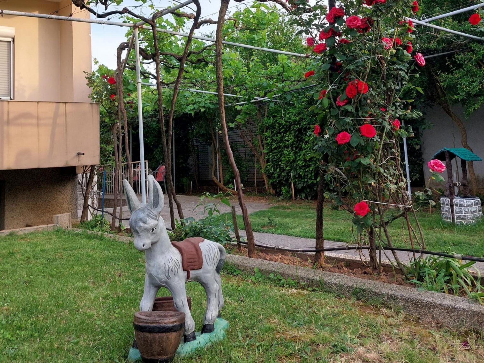 Apartments F Подгориця Екстер'єр фото